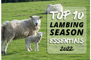 Top 10 Lambing Essentials 2022