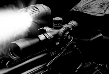 Lighting Lighting