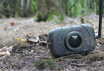 Motion Detectors Motion Detectors