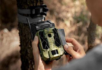 Trail Cameras Trail Cameras