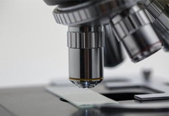 Lab & Science Lab & Science