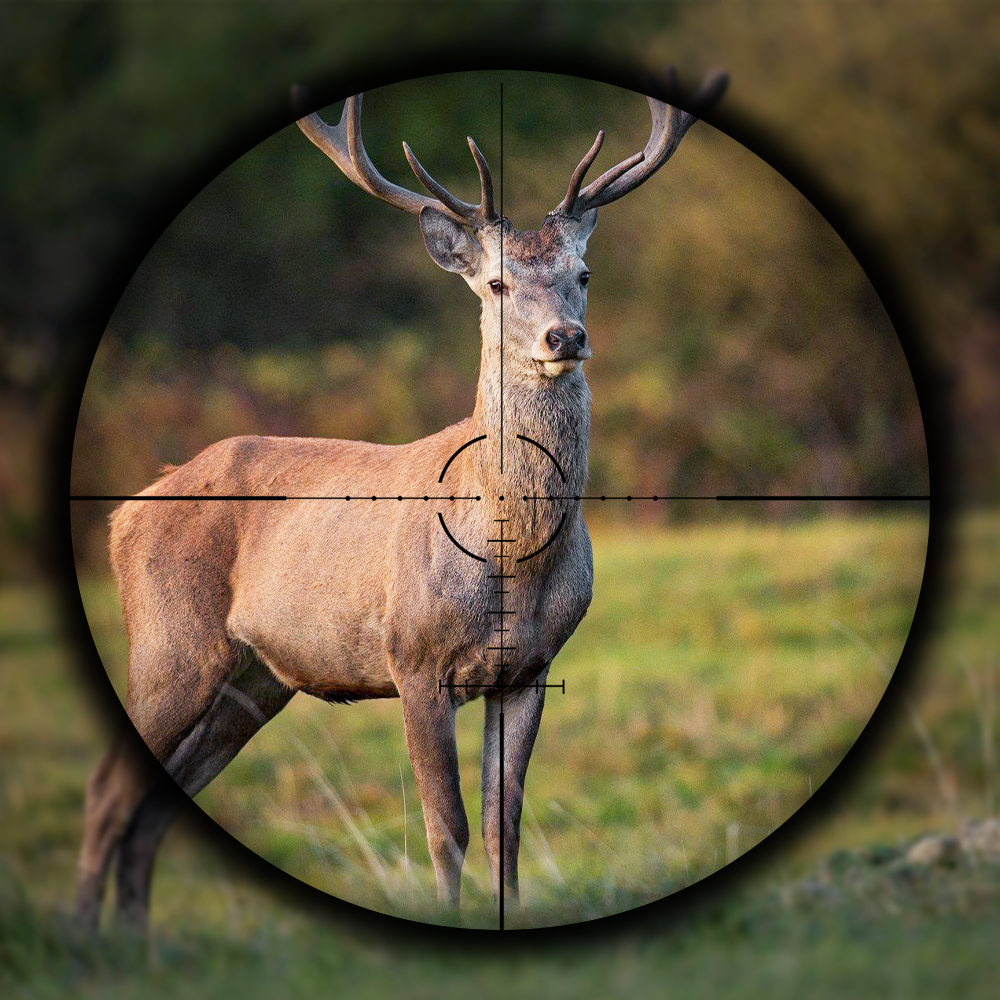 Lunette De Visée Tactique SPINA OPTICS 6-36x56 SF - Grossissement 6-36x, Champ 2.6-15.2@100yds - Pour Chasse Et Tir