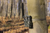 HIKMICRO M15 4G Trail Camera
