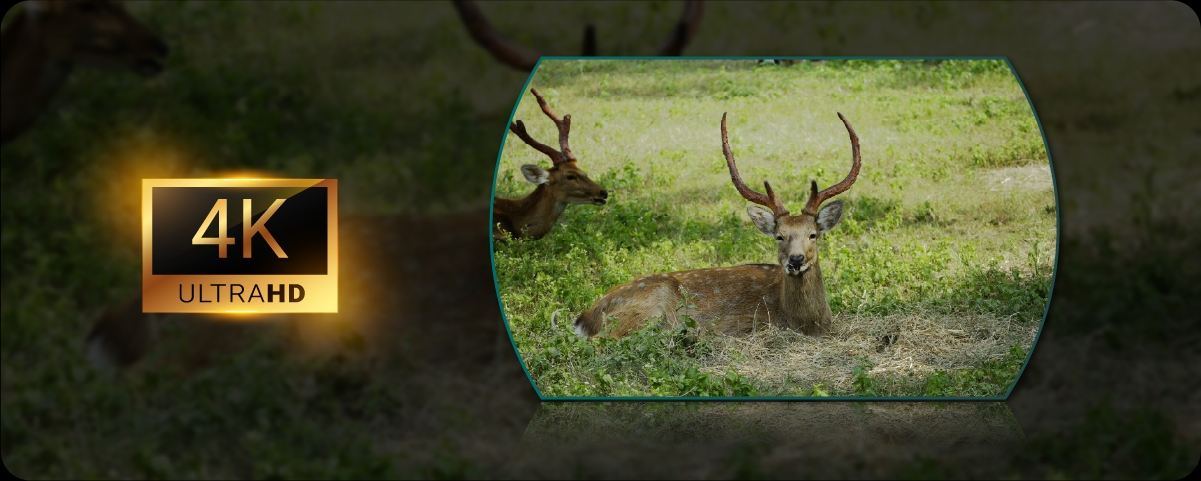 Pixfra DRACO D335-4K Multispectral Binoculars