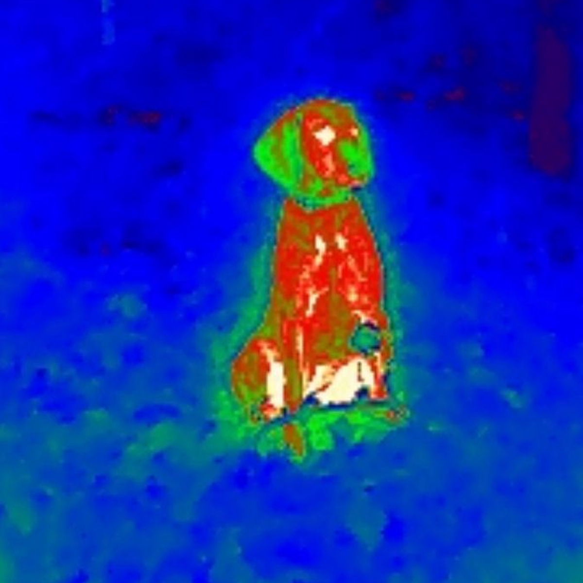 HIKMICRO EXPLORER E20 Smartphone Clip-In Thermal Imager for Android