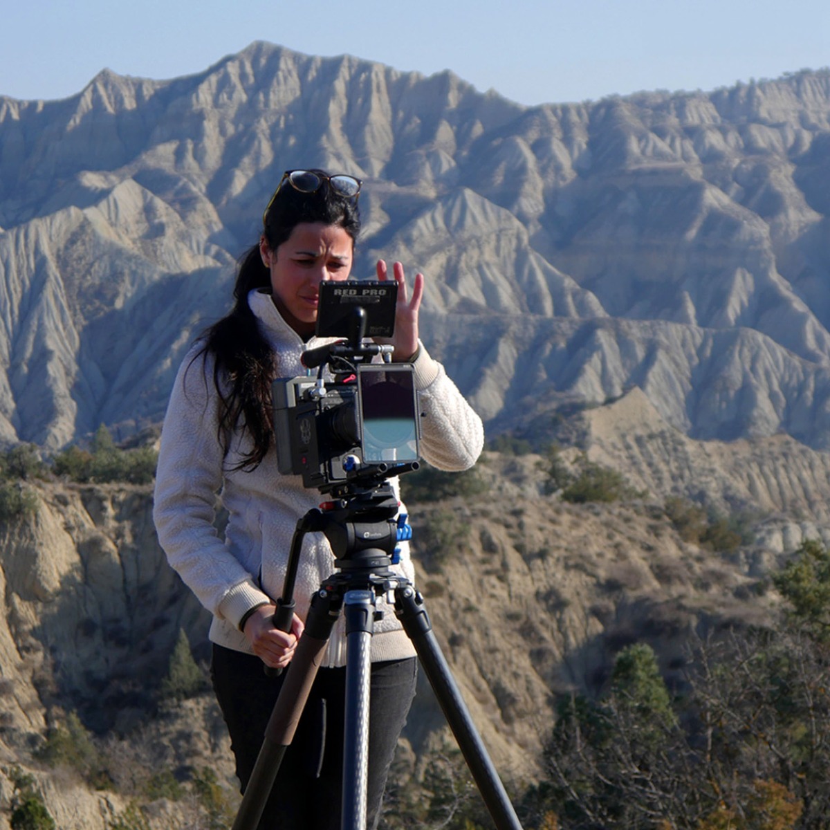 Leofoto Mountain LN-404C 10x Layer Carbon Spider Bowl Tripod - Max load ; 50kg, Min 115mm to Max 1910mm