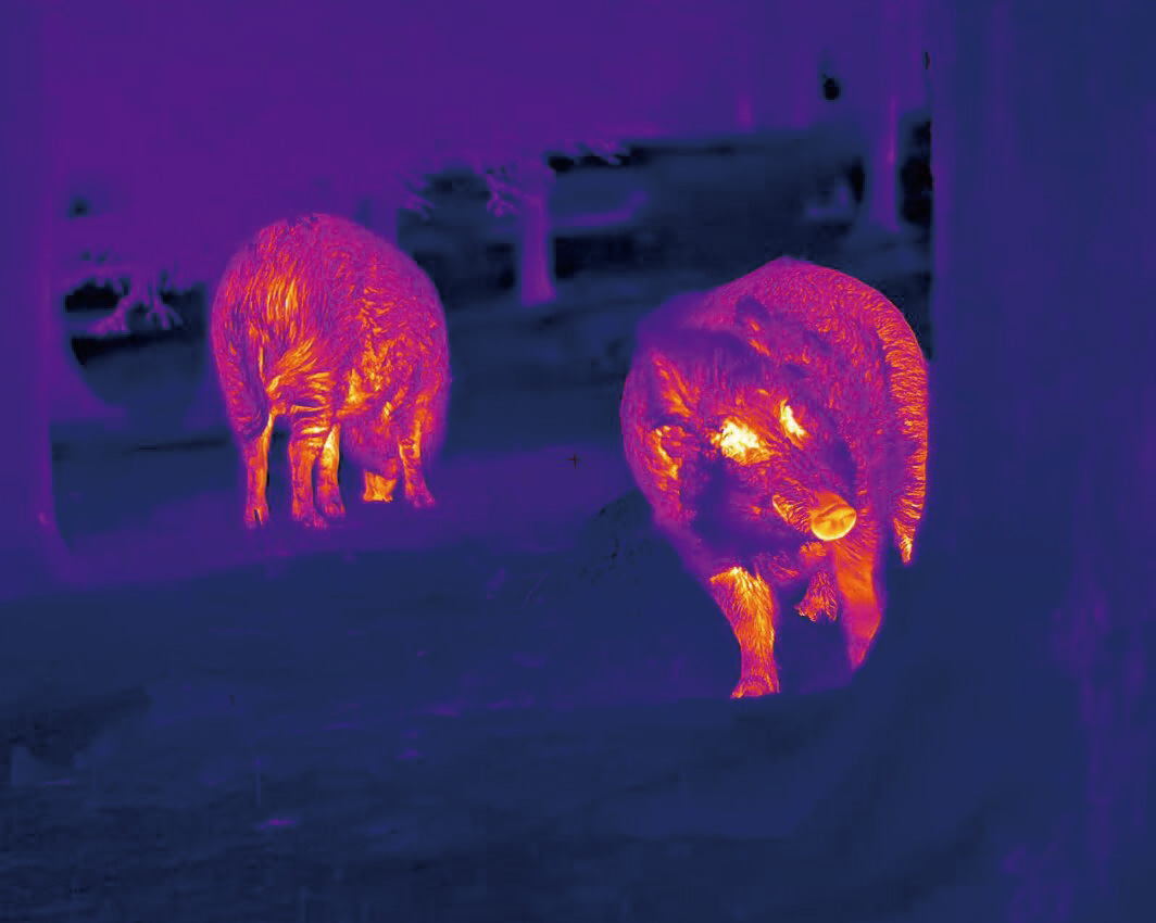 WIN A BUNDLE: NocPix Lumi L35R Handheld LRF Thermal Monocular + NocPix Bolt P25R Thermal Imaging LRF Rifle Scope with Ballistics Calculator + £300 Store Credit