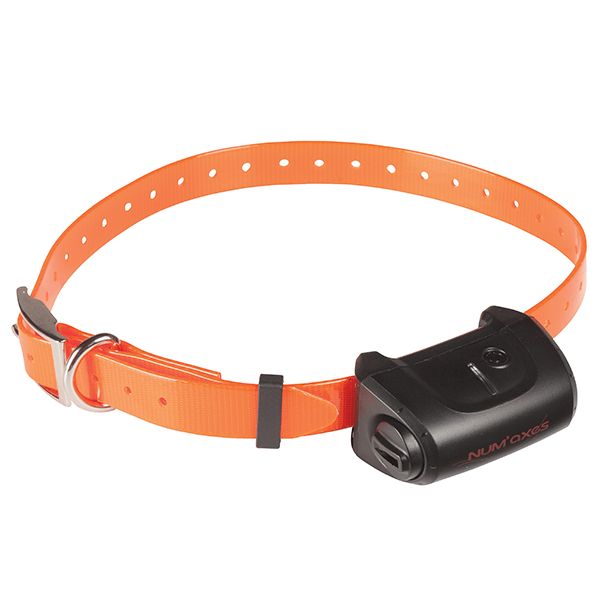 Numaxes CANICOM 5.500