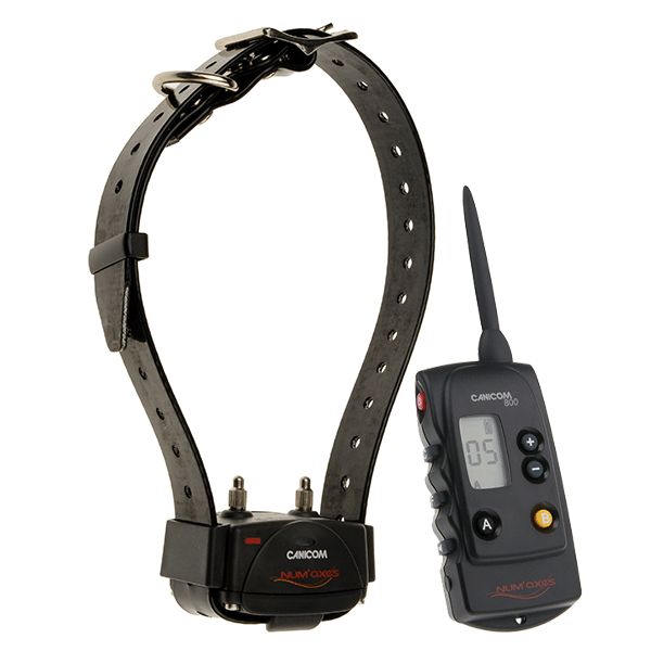 Numaxes CANICOM 800 1 Dog Training