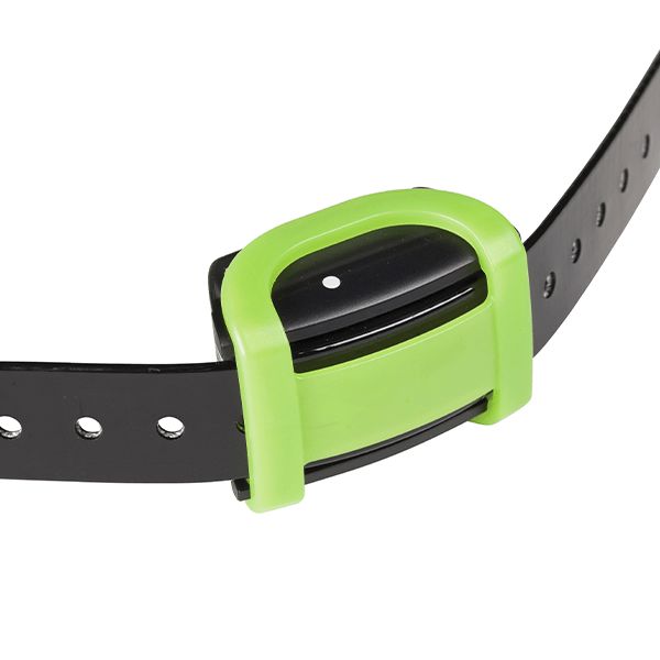 Numaxes CANICOM SOFT Soft Training