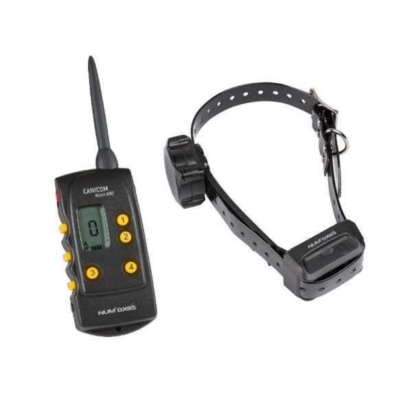 Numaxes CANICOM VOICE 800 Soft Training