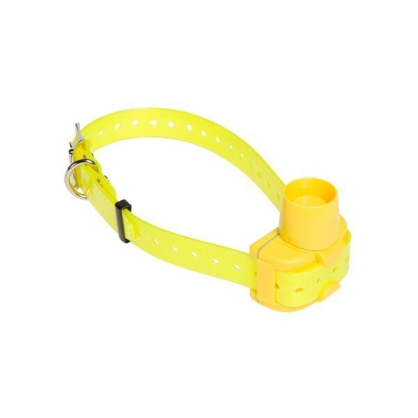 Numaxes Complete set CANIBEEP RADIO PRO