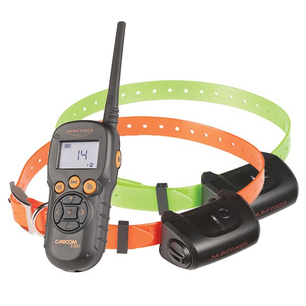 Numaxes PACK CANICOM 5.800 - 2 DOGS