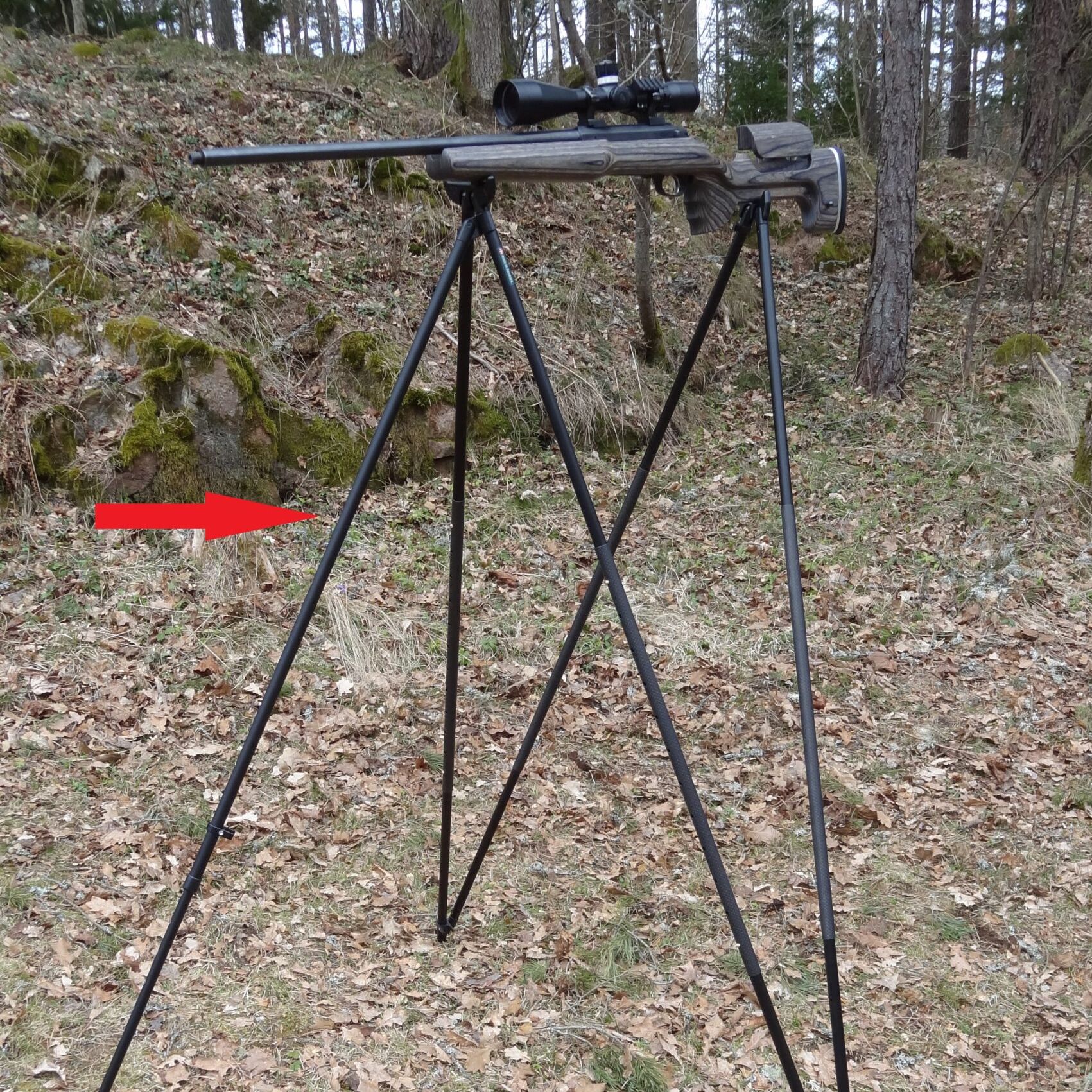 Single Leg Styx Journey + XL