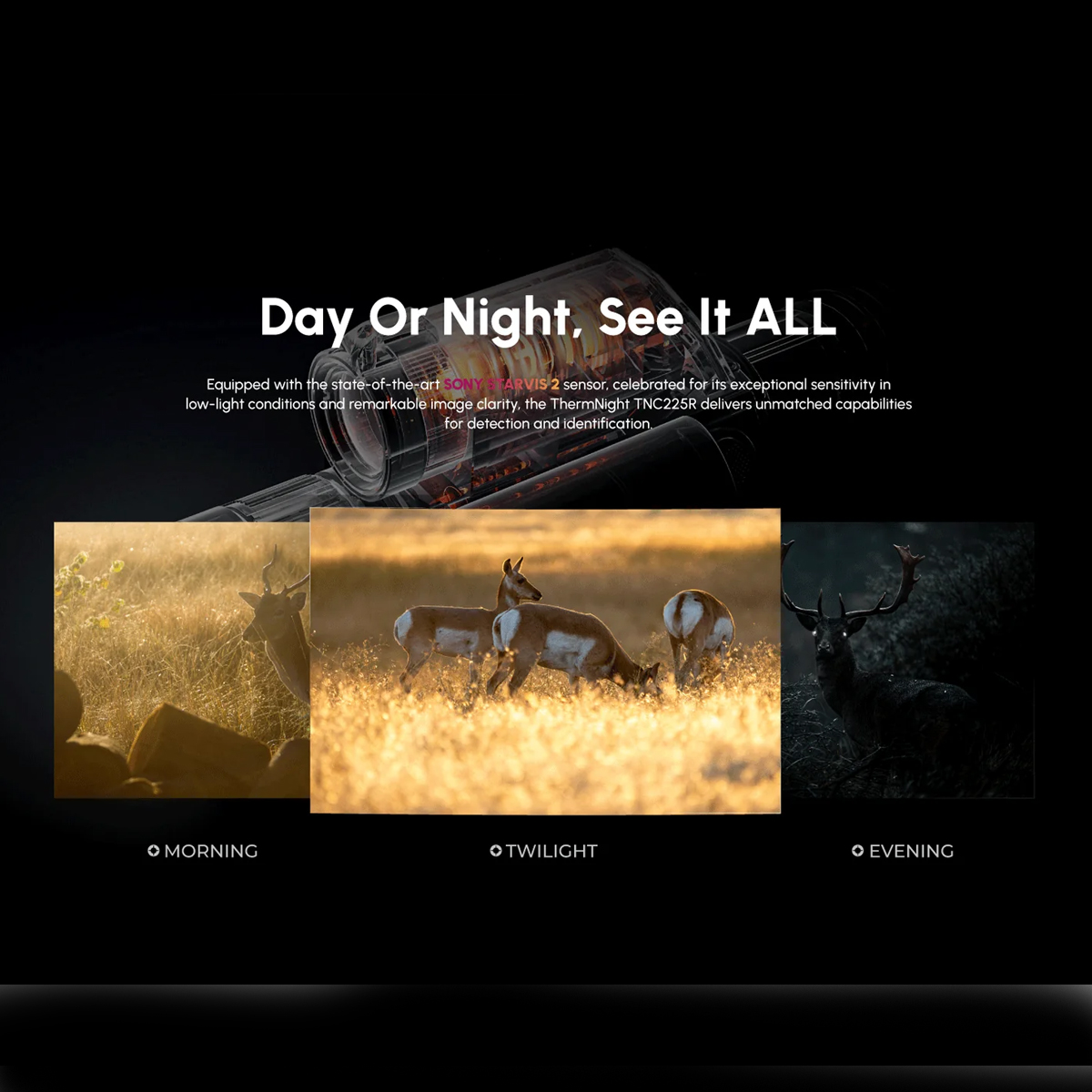 WIN A: DNT Optics TNC225R ThermNight 256x192 25mm Thermal & Night Vision Multispectral Scope