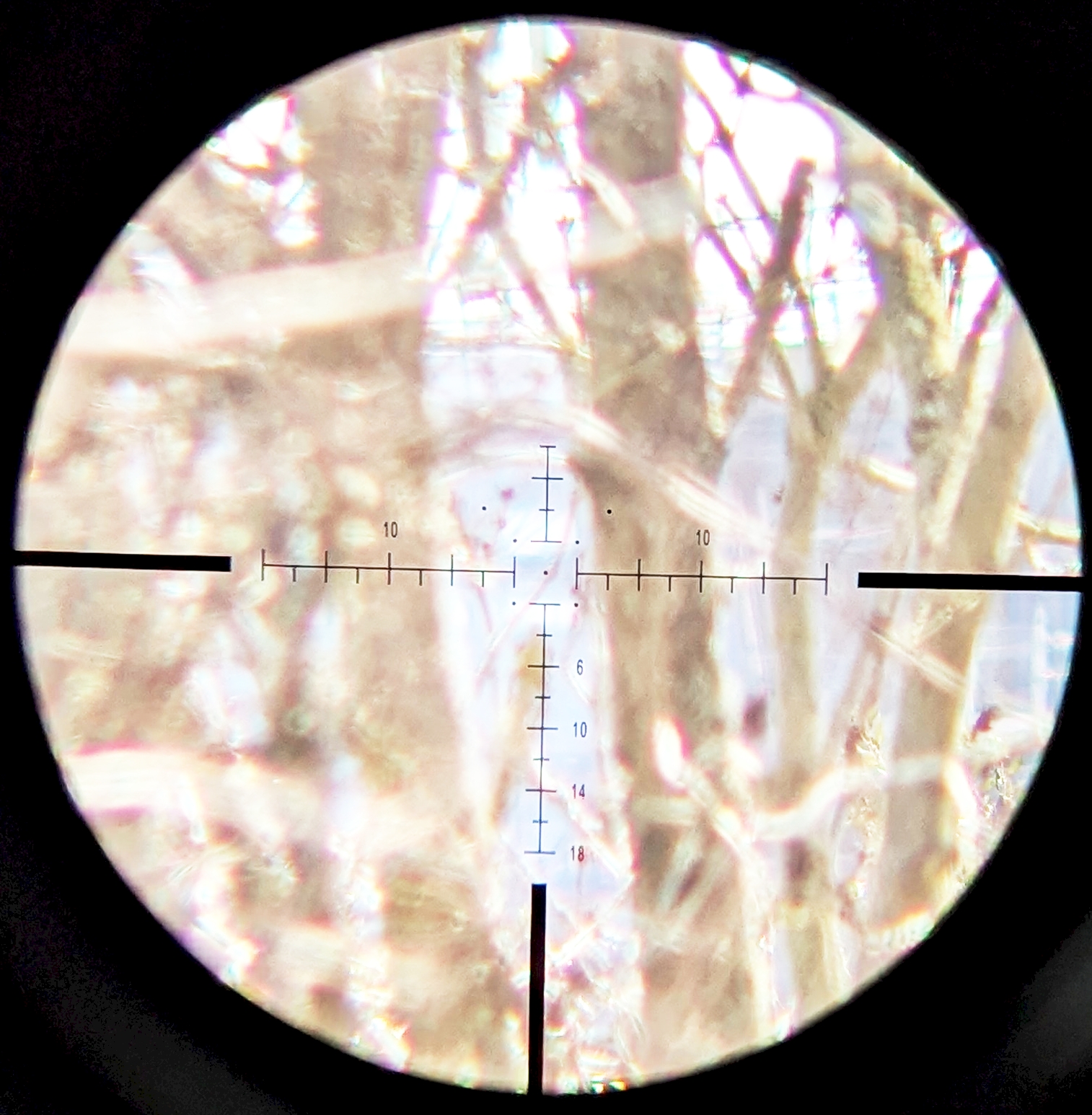 WULF Defender 2.8-18x50 SFP MOA-2JF Illuminated ZTL 1/4MOA 34mm Rifle Scope
