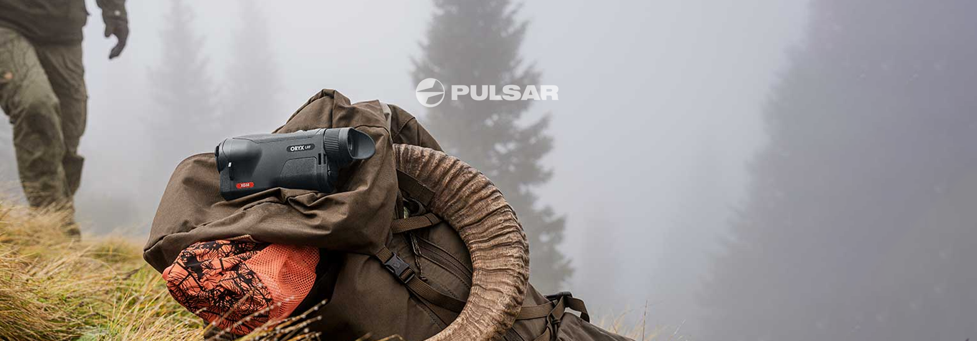 Pulsar Oryx