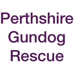 Perthshire Gundog Rescue