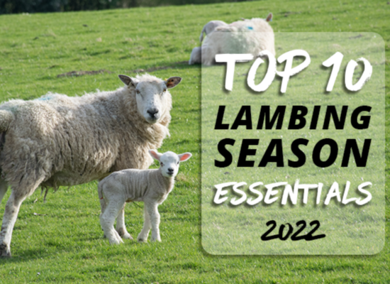 Top 10 Lambing Season Essentials