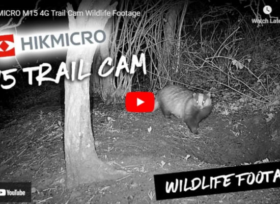 HIKMICRO M15 4G Trail Cam Wildlife Footage