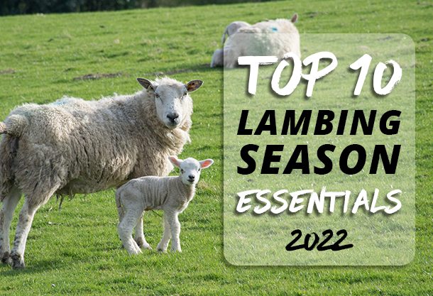 Top 10 Lambing Season Essentials