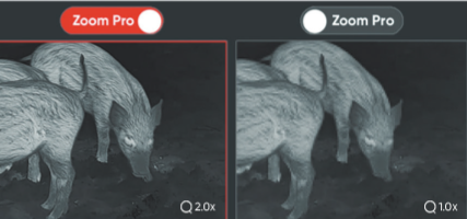 Image Pro 2.0 Example