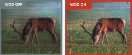 WDR Example